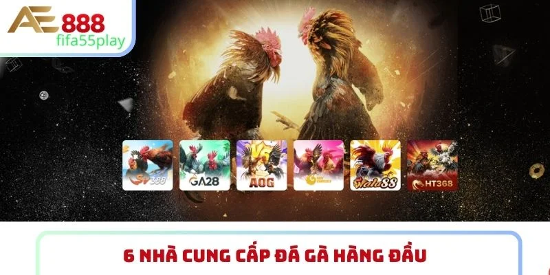 6 nhà cung cấp đá gà hàng đầu