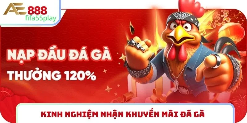 Kinh nghiệm nhận khuyến mãi đá gà