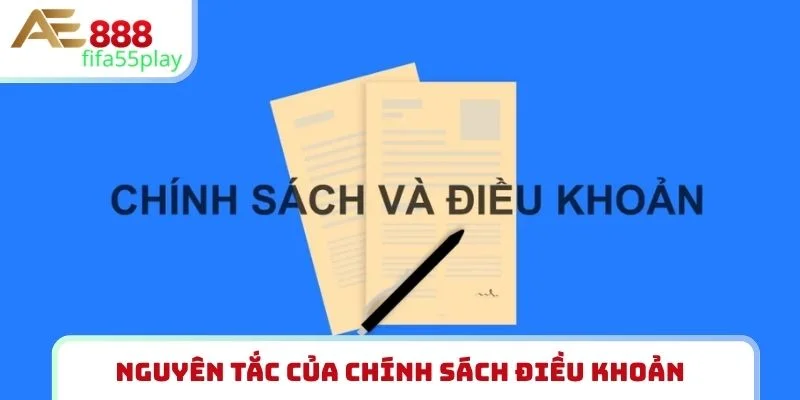 Nguyên tắc của chính sách điều khoản