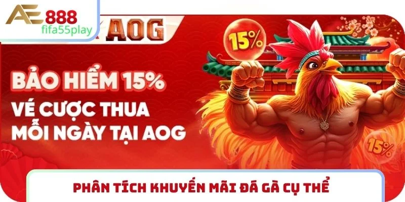 Phân tích khuyến mãi đá gà cụ thể