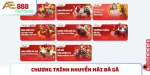 khuyến mãi đá gà