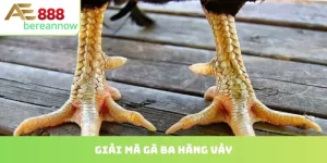 gà ba hàng vảy